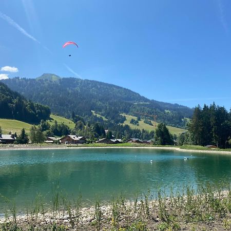 Chaleureux Appartement Renove Ambiance Chalet Praz-sur-Arly Exterior foto