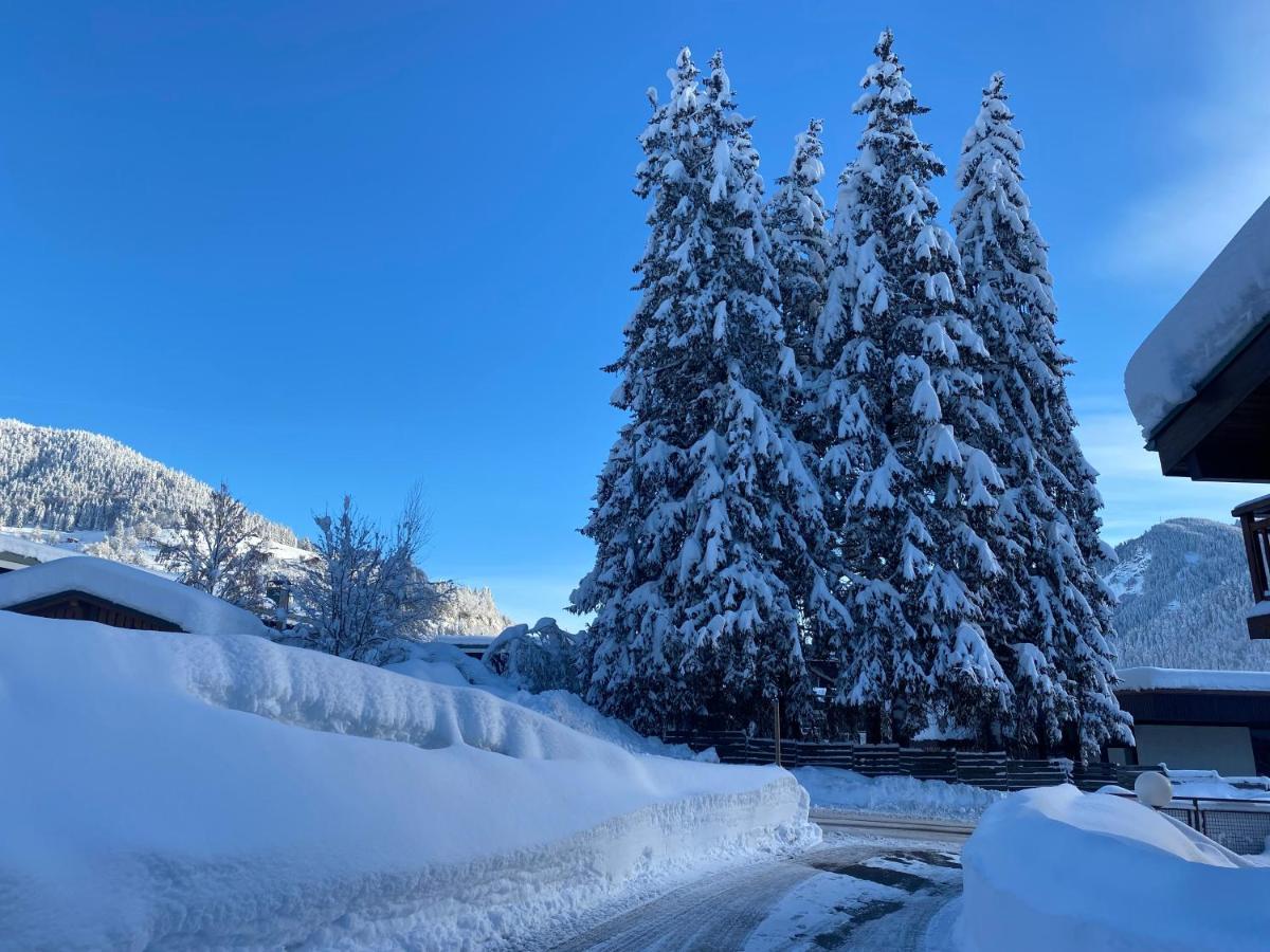 Chaleureux Appartement Renove Ambiance Chalet Praz-sur-Arly Exterior foto