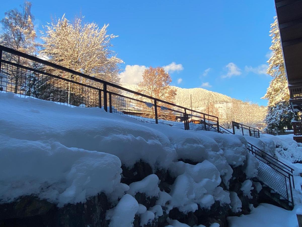 Chaleureux Appartement Renove Ambiance Chalet Praz-sur-Arly Exterior foto